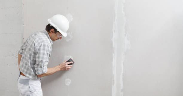 Best Mold Odor Removal Services  in Jersey Shore, PA